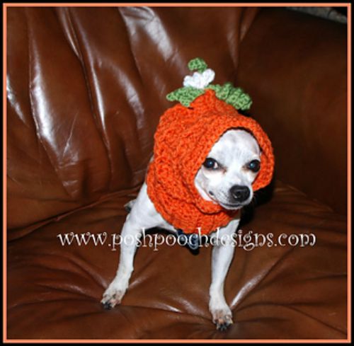 Pumpkin Dog Snood
